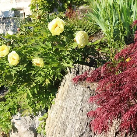 Σπίτι διακοπών Logis De 2 Blonay