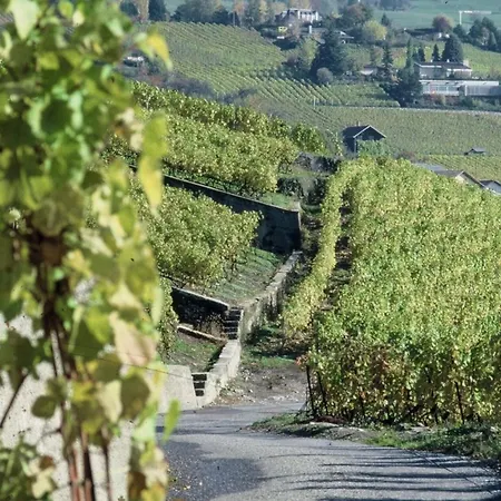 Logis De 2 Dom wakacyjny Blonay