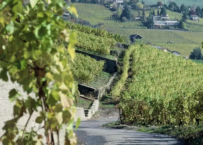 Logis De 2 Dom wakacyjny Blonay