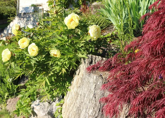 Сasa de vacaciones Logis De 2 *